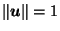 $ \left\Vert\vec{u}\right\Vert = 1$