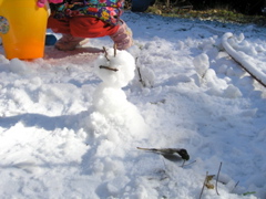 P1130044.JPG