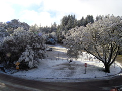 P2280033.JPG
