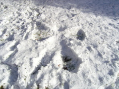 P2280045.JPG