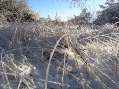 P2280030.JPG