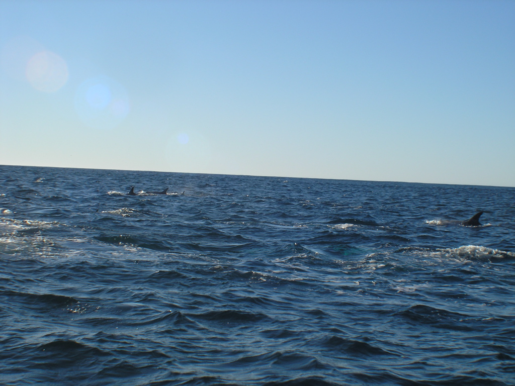 PC030015.JPG