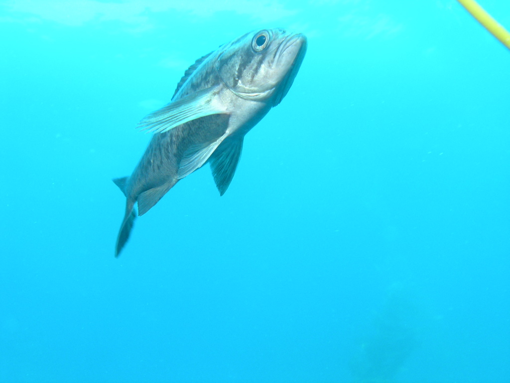 PC030001.JPG