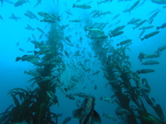 PC030076.JPG