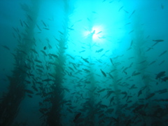 PC030086.JPG