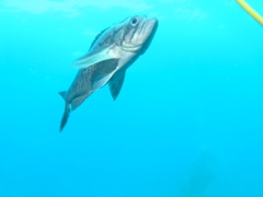 PC030001.JPG