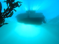 PC030109.JPG