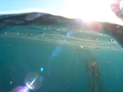 PC030118.JPG