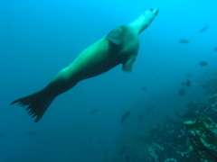 PC030152