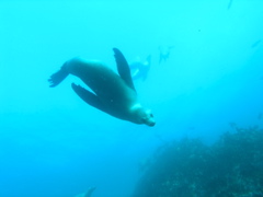 PC030160