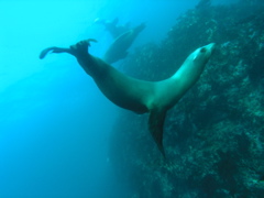 PC030161
