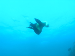 PC030164