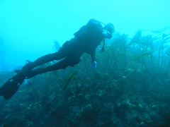 PC030028.JPG