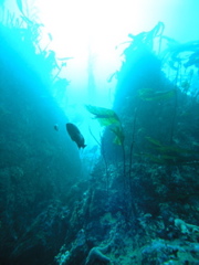 PC030024.JPG