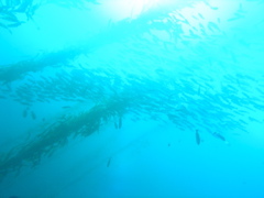 PC030061.JPG