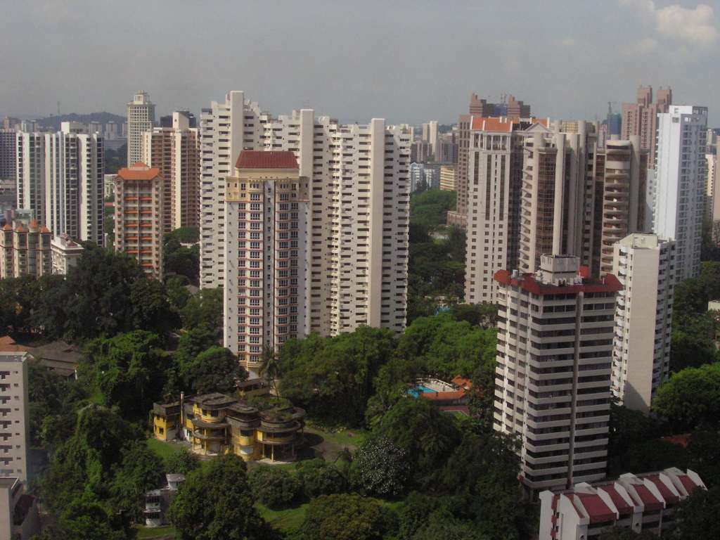 P4200054.JPG