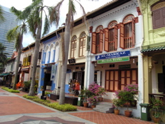P4190038.JPG
