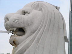P4200086.JPG