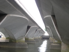P4200087.JPG