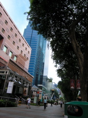 P4190023.JPG