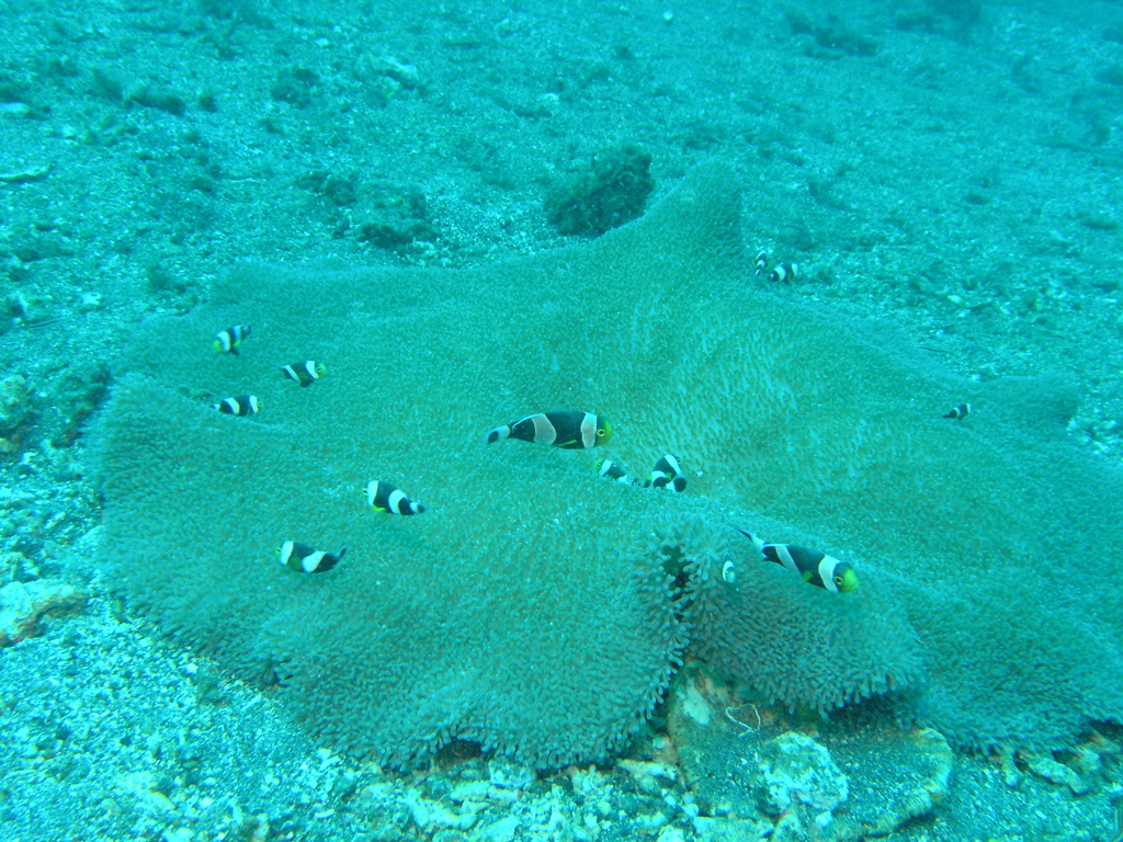 P4230132.JPG