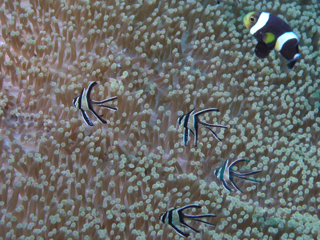 P4230217.JPG