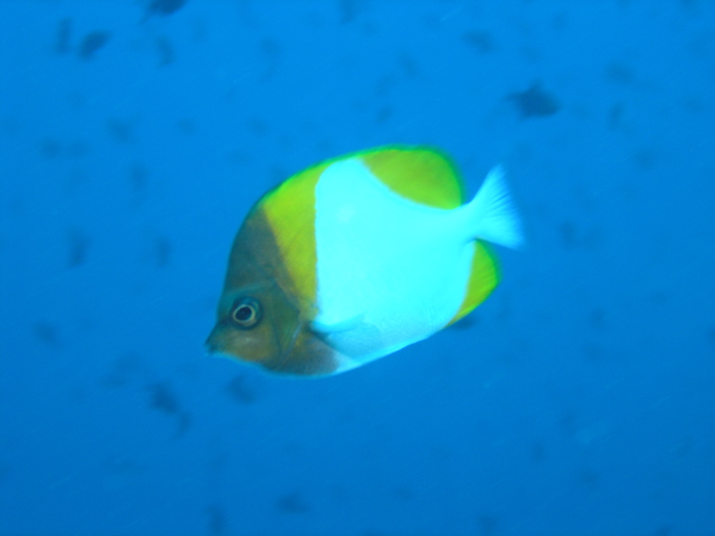 P4260075.JPG