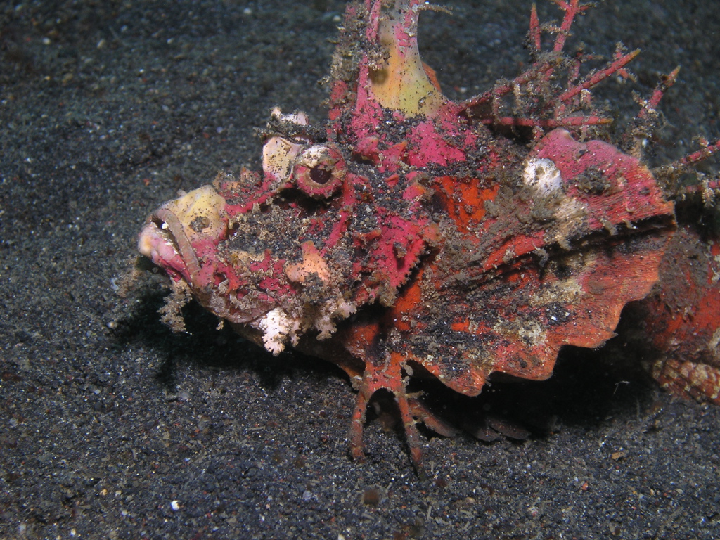 P4220075.JPG