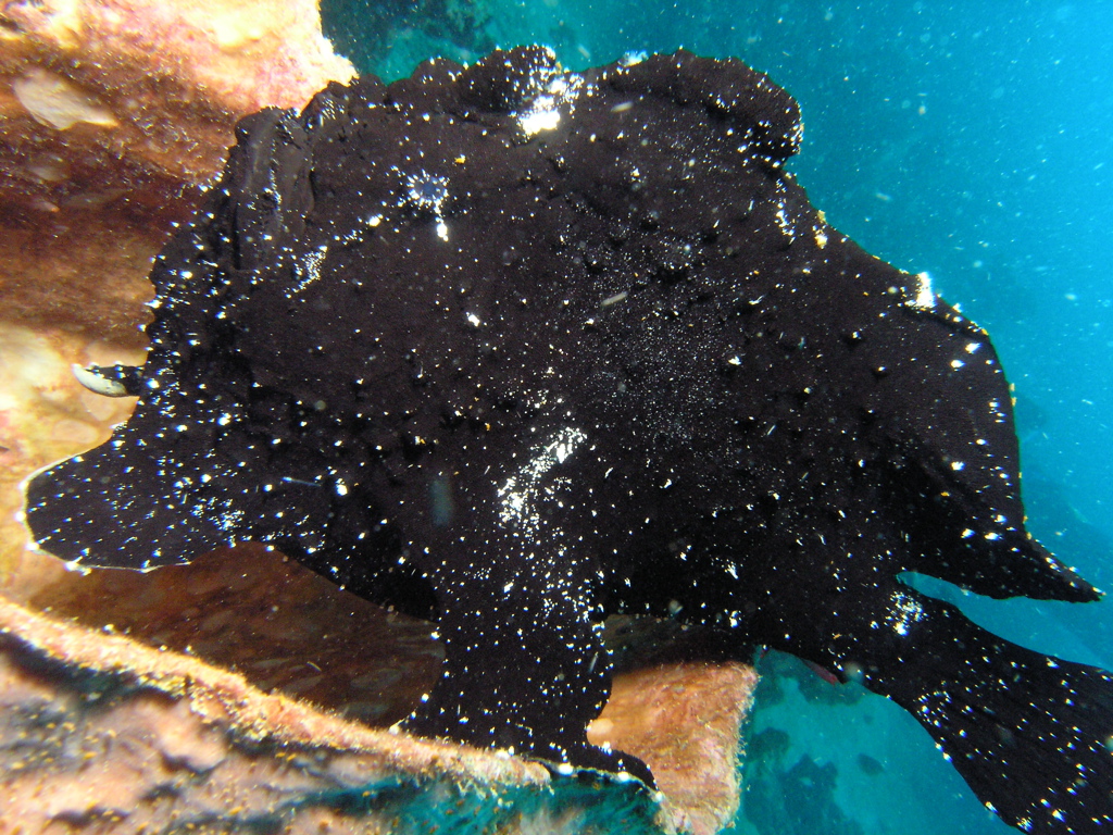 P4230149.JPG