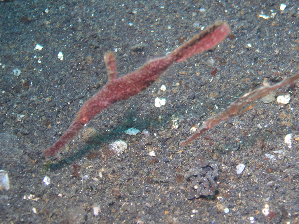 P4240327.JPG