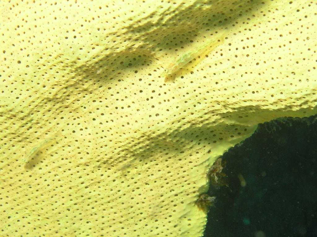 P4240389.JPG