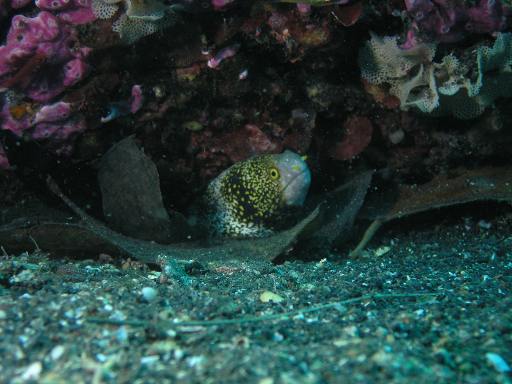 P4240355.JPG