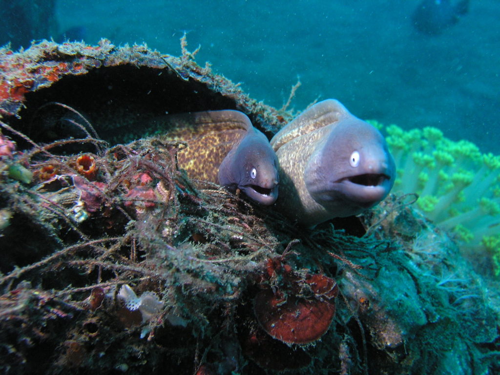 P4240401.JPG