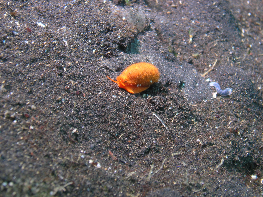 P4240009.JPG