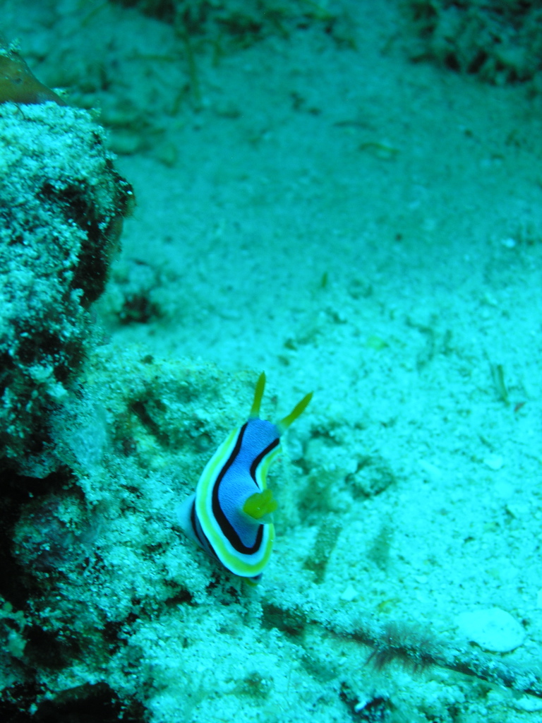 P4260091.JPG