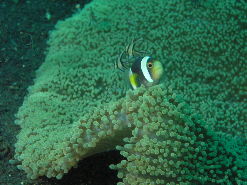 P4230214.JPG