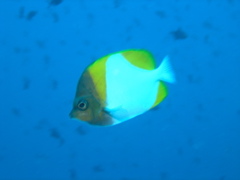 P4260075.JPG