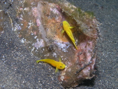P4220080.JPG