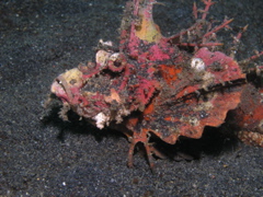 P4220075.JPG