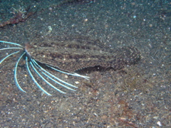 P4230197.JPG