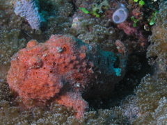 P4240371.JPG