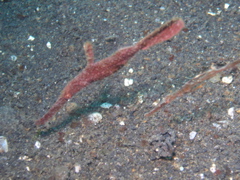 P4240327.JPG