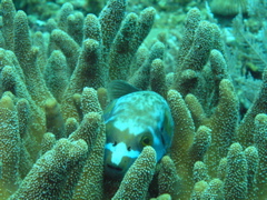 P4270057.JPG