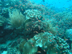 P4260135.JPG