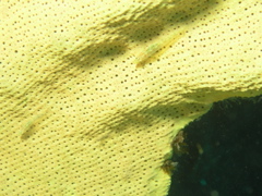 P4240389.JPG