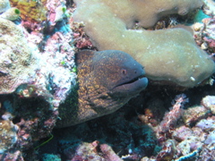 P4260102.JPG