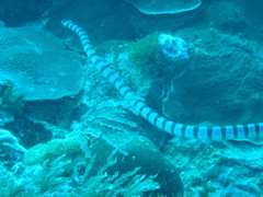 P4270018.JPG