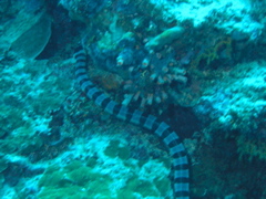P4270022.JPG