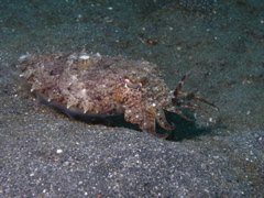 P4240387.JPG