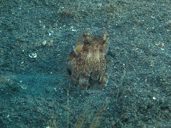 P4240331.JPG